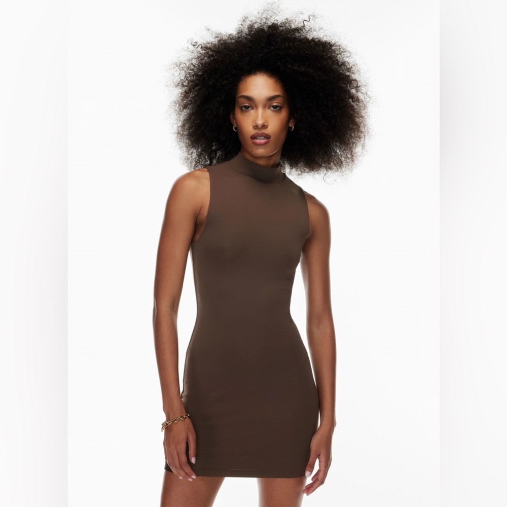 Aritzia Babaton Contour Mockneck Mini Dress Brown